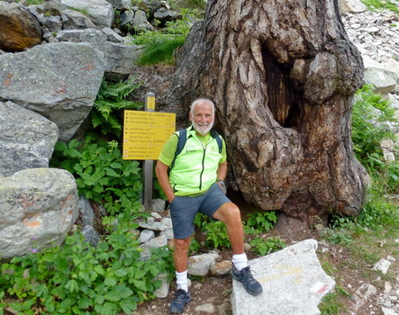 N21 Piano del Valasco – Rifugio Questa – Passo SE delle Portette