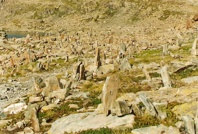 V7 Ricovero e Rifugio dell’Alpetto – Passo Gallarino