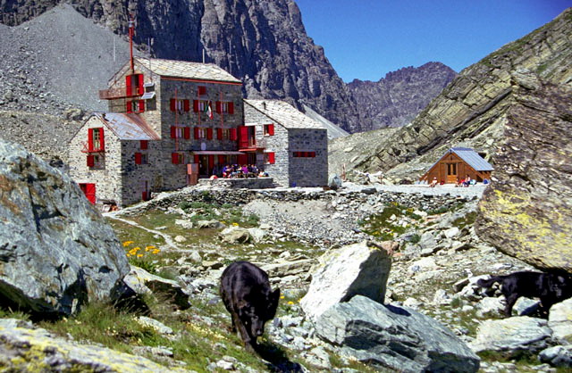 V24 Bivio V7 – Rifugio Quintino Sella